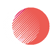 Elizabeth Donald LLC